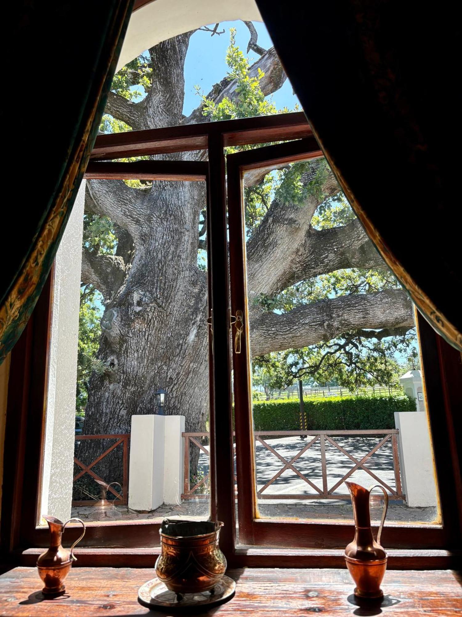 Eight Bells Mountain Inn Ruiterbos Exteriér fotografie